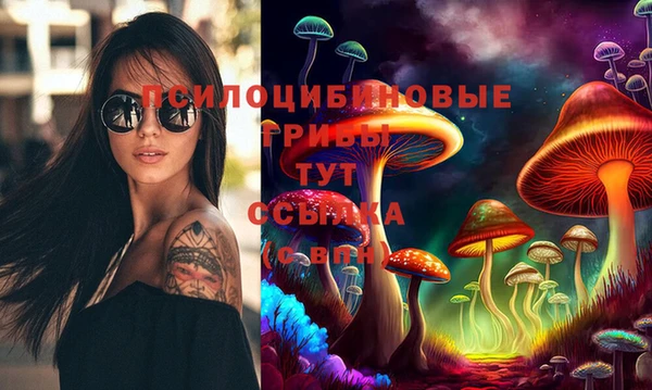 тгк Баксан