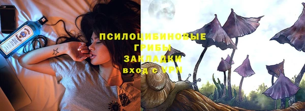 хмурый Балахна