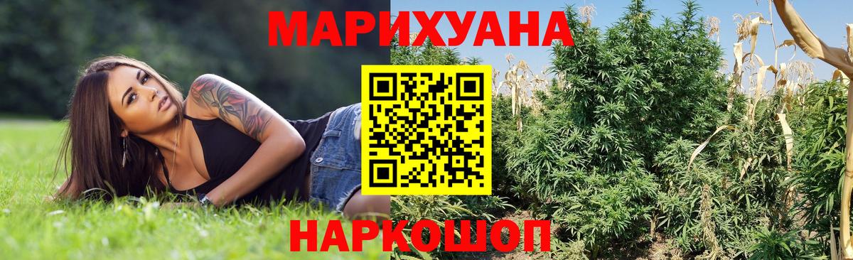 Марихуана конопля  Бошки марихуана Bruce Banner  Вход с VPN  Канабис план  Армавир 